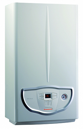 картинка Газовый котёл Immergas EOLO MINI 24 3 E от магазина Immergas