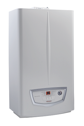 картинка Газовый котёл  Immergas EOLO MYTHOS 24 5 R от магазина Immergas